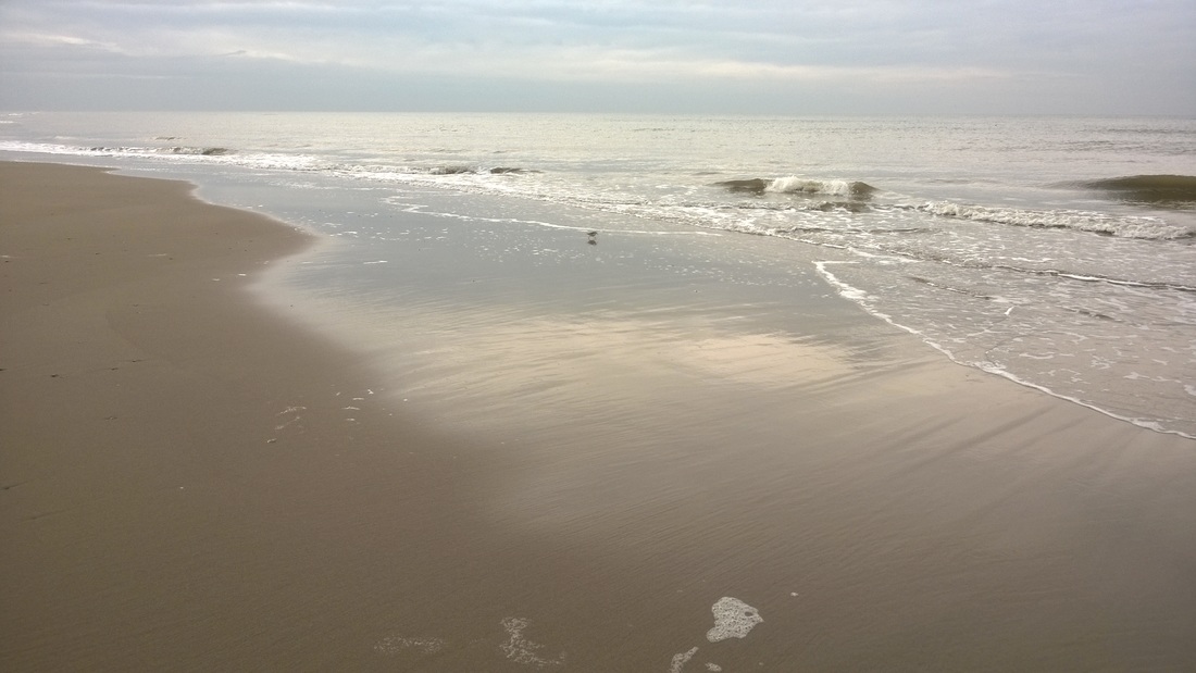 Strand Texel Nordsee